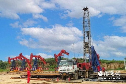 中国石油长庆油田采油十二厂全面掀起学习贯彻党的二十届三中全会精神热潮