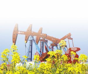 胡文瑄 深耕石油地质的杰出科学家