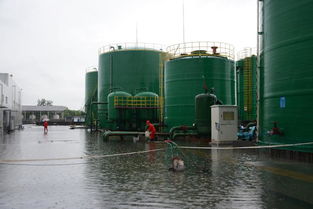 江汉油田江汉采油厂钟市联合站 多措并举，筑牢暴雨天气下天然气管道储运安全防线